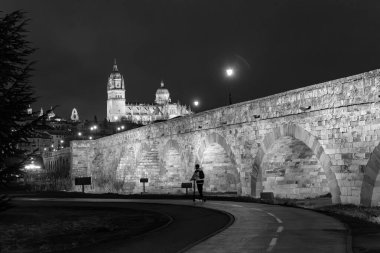 Salamanca cityscape with the Salamanca Cathedral and the Roman Bridge over the Tormes River, Salamanca, Spain. clipart