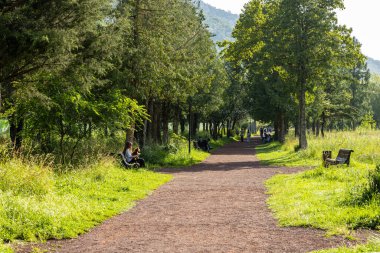 Dilijan, Ermenistan - 5 Temmuz 2024: Güneşli yaz gününde Dilijan şehrindeki yeşil şehir parkında kırmızı yol