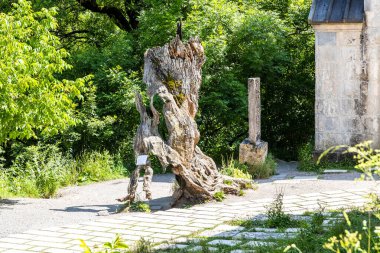 Dilijan, Ermenistan - 6 Temmuz 2024: 13. yüzyıl tarihi ceviz ağacı güneşli yaz gününde Tavush Eyaleti 'nin Dilijan kasabası yakınlarındaki Haghartsin Manastırı' nın avlusunda yıldırım tarafından tahrip edildi