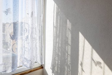 Ev penceresi ve duvarındaki tül perdeler sabah güneşiyle aydınlatılıyor ve arka planda kentsel evler görülüyor.