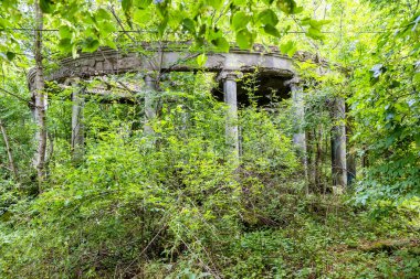 Yazın Dilijan Ulusal Parkı 'ndaki TransKafkasya Patikası' ndaki dağ ormanında yetişmiş tarihi rotonda.