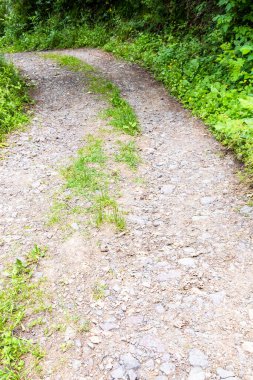 Yaz günü Dilijan Milli Parkı 'ndaki Kafkasya Patikası' ndaki dağ ormanlarında yol.