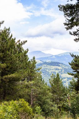 Yaz günü Dilijan Ulusal Parkı 'ndaki TransKafkas Patikası' ndaki dağ ormanı manzarası