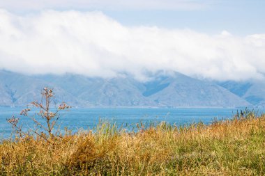 Sevanavank yakınlarındaki Sevan Yarımadası 'nın tepesinde güneş yanığı otlar ve arka planda Sevan Gölü, Ermenistan' ın dağ kıyısındaki bulutların manzarası