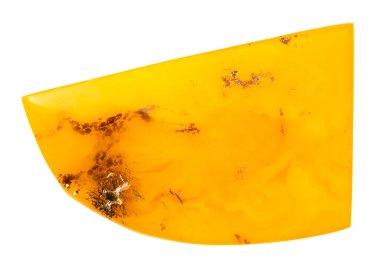 Beyaz arka planda Kalininingrad 'dan izole edilmiş sarı doğal baltık kehribar taşı.