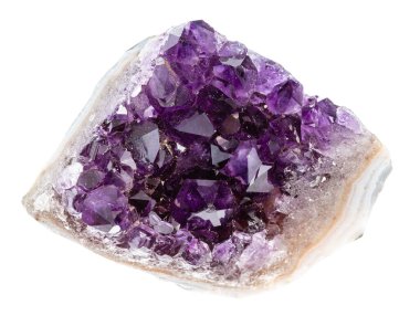 Jeolojik koleksiyondaki doğal taş örneklerini kapat - beyaz zemin üzerinde izole edilmiş ametist kristallerinin kaba jeodu