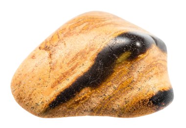 Jeolojik koleksiyondaki doğal taş örneklerini kapat - cilalanmış tuff (tuffaceous) kum taşı minerali Krasnoyarsk bölgesinden izole edilmiş beyaz arkaplan