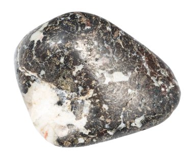 Jeolojik koleksiyondaki doğal taş örneğini kapat - parlaklaştırılmış trachybazalt minerali Kutup Urallarından beyaz arka planda izole edilmiş
