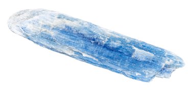 close up of sample of natural stone from geological collection - rough blue kyanite crystal isolated on white background from Brazil clipart