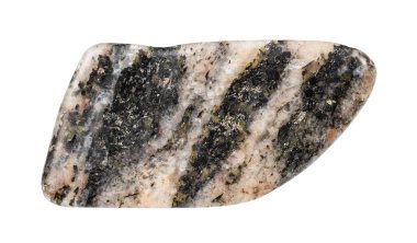 Jeolojik koleksiyondaki doğal taş örneğini kapat. Cilalanmış gneiss minerali, beyaz arka planda Karelia 'dan izole edilmiş.
