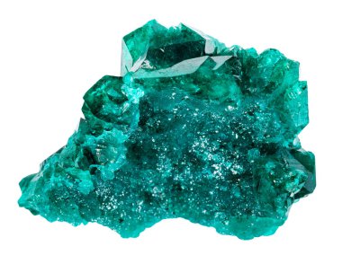 close up of sample of natural stone from geological collection - cluster of dioptase mineral isolated on white background from Kazakhstan clipart