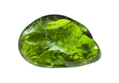 Yakutia 'nın beyaz zemininden izole edilmiş, cilalanmış krom diopside kristali.