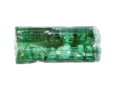 Jeolojik koleksiyondaki doğal taş örneğine yakın plan - Afganistan 'dan izole edilmiş kaba verdelite kristali