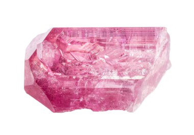 Jeolojik koleksiyondaki doğal taş örneğini kapat. Transbaikalia 'dan beyaz arka planda izole edilmiş ham rubellit kristali.