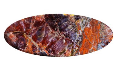 Jeolojik koleksiyondaki doğal taş örneğini kapat - beyaz arka planda izole edilmiş Pietersite mineralinden cilalanmış düz oval