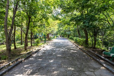Gyumri, Ermenistan - 20 Temmuz 2024: Gyumri şehrindeki Central Gorki Parkı 'nda (Maxim Gorky Parkı) yeşil sokak