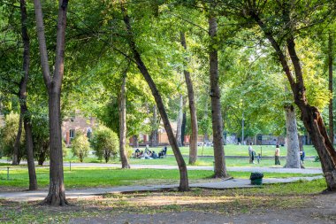 Erivan, Ermenistan - 10 Ağustos 2024: güneşli yaz akşamında Erivan 'daki İngiliz Parkı' nda yeşil çayır