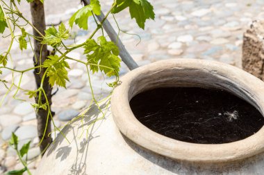 cobweb covered kvevri wine vessel close up in courtyard of village house in Areni village in Vayots Dzor Provinces, Armenia on sunny summer day clipart