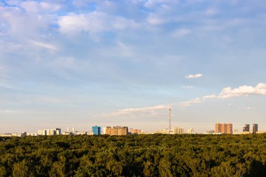 Büyük şehir parkı manzarası ve ufuktaki apartman evleri yaz günbatımında