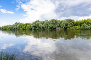 Eski Kolomna şehrinde güneşli bir yaz gününde Moskva Nehri 'nin sakin sularının manzarası