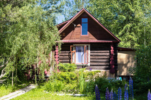 wooden log country house in ornamental garden on sunny summer day