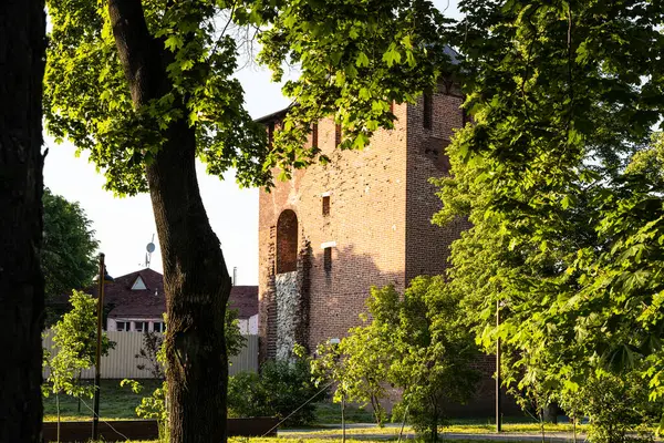 Kolomna Kremlin 'in Simeonovskaya Kulesi manzarası Eski Kolomna şehrindeki yeşil ağaçların arasından güneşli yaz akşamları