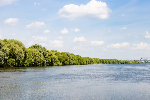 Kolomna şehrindeki Moskva nehrinin güneşli yaz günü manzarası