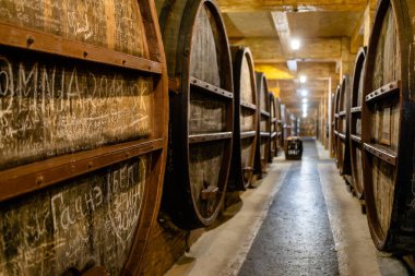 Erivan, Ermenistan - 2 Ekim 2023: Erivan 'daki NOY brendi fabrikasının bodrumunda büyük brendi fıçıları. Noy, 1877 yılında kurulan Erivan 'ın en eski konyak üretim fabrikasıdır.