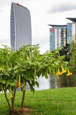 Batumi, Gürcistan - 16 Eylül 2023: 6 Mayıs 'ta Park' taki Nurigel Gölü kıyısı ve sonbahar gününde Batumi şehrindeki modern otellerin kuleleri