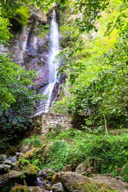 Gürcistan 'a seyahat - Makhuntseti Şelalesi Sonbahar günü Adjara' da