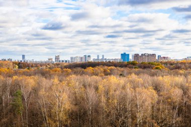 Sonbahar ormanı üzerinde bulutlu gökyüzü ve sonbahar günü ufukta evler