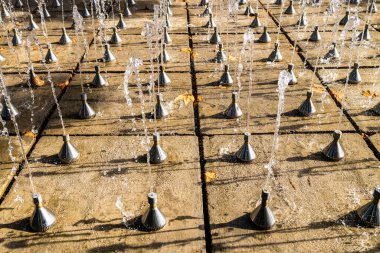 Şehir parkında sonbahar günü Erivan şehrinde gün batımında güneşle aydınlanan su tabakası.