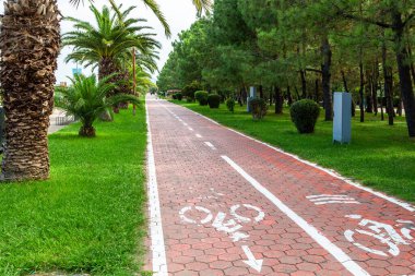 Sonbaharda Batumi 'de deniz kenarındaki bulvarda deniz kenarında kırmızı bisiklet kuyruğu