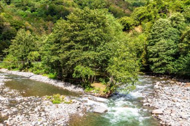 Gürcistan 'a seyahat - güneşli bir sonbahar gününde Adjara' nın Tskhemlara köyündeki Machakhela Nehri 'nin nehir yatağı