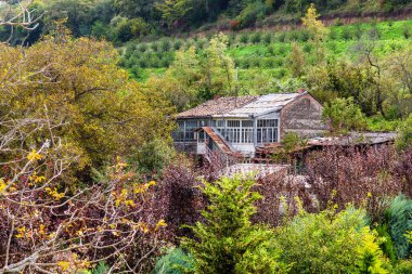 travel to Georgia - orchard and rural house in village near near Bodbe Monastery in Kakheti region of Georgia on autumn day clipart