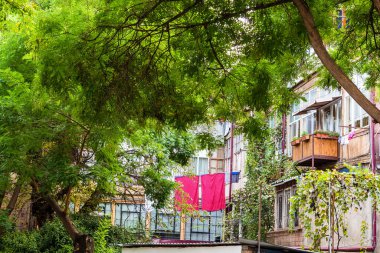 Gürcistan 'a seyahat - Tiflis' te sonbahar günü Daniel Chonkadze caddesinde yeşil acacialar ve apartman avlusu
