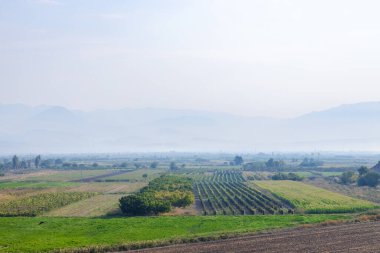 Mısır tarlaları, sebze bahçeleri, üzüm bağları ve dağlardaki sis Ermenistan 'ın Ararat ovasında sonbahar sabahı
