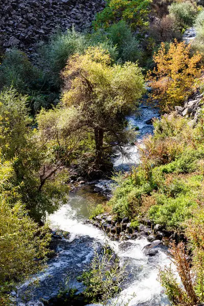 Ermenistan 'ın Garni vadisindeki Goght Nehri deresi güneşli bir sonbahar gününde