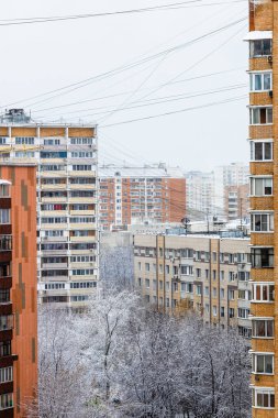 Şehir avlusundaki ilk karla kaplı ağacın bulutlu sonbahar gününde havadan görünüşü.