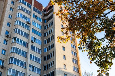 elm tree branch with yellow leaves illuminated by sunset autumn sun and multi-story brick residential building in background on autumn evening in city clipart