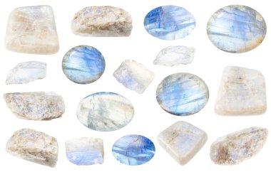 Beyaz arka planda izole edilmiş çeşitli ham ay taşı mineral örnekleri var.