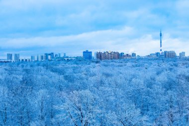 Karlı şehir parkı manzarası ve mavi kış günbatımında şehir evleri