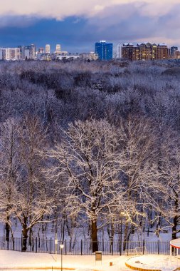 Şehir parkının ve kışın ufukta yüksek binaların manzarasının üstünde.