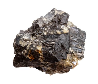 Jeolojik koleksiyondaki doğal taş örneğini kapatın. Beyaz arka planda izole edilmiş cilalanmamış kurtçuk minerali.