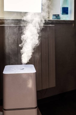 Ev yapımı nemlendirici oturma odasında ısıtma kaloriferinin yanında su yayıyor.