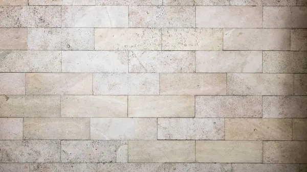 panoramik arkaplan - kabuklu kaya levhalarıyla kaplı duvar