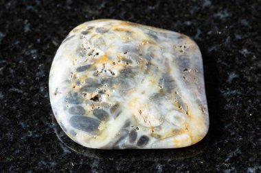 Siyah granit arka planda yuvarlanan onkolit minerali örneği. Rusya 'nın Irkutsk bölgesindeki Lena Nehri' ne yakın.