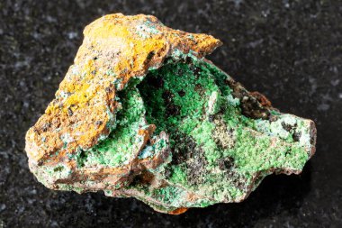 Meksika yakınlarındaki siyah granit arka planda limonit kaya üzerinde ham conichalcite minerali örneği