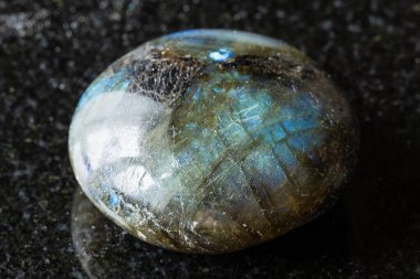 Madagaskar yakınlarında siyah granit arka planda cilalanmış labradorit değerli taş örneği.