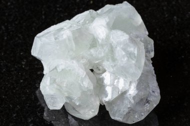 Dalnegorsk, Primorye, Rusya yakınlarındaki siyah granit arka planda kaba veri minerali örneği